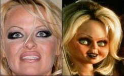 7-funny-look-a-likes.jpg