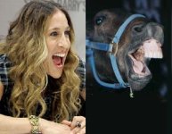 34065-sarah_jessica_parker_looks_horse_dot_com.jpg