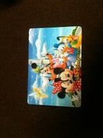 disney_pin_trading_front.jpg