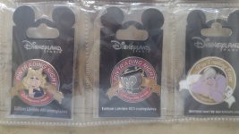 IMG_20250618_163238261.jpg