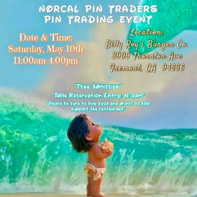 Norcal Pin Traders Pin Trading Event